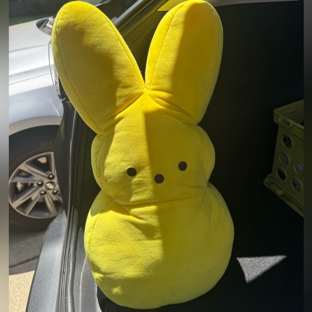 Yellow Peeps Plush Pillow